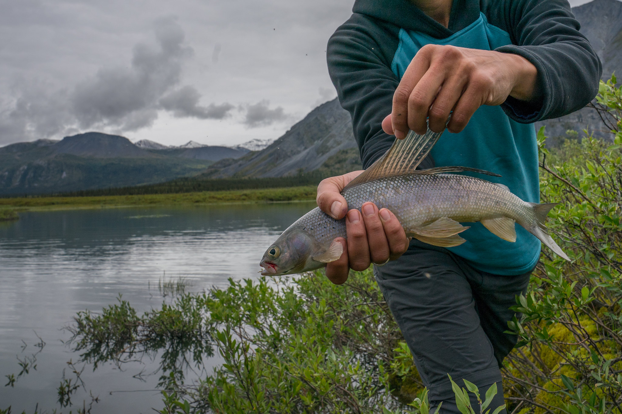 Indigenous Led Land Planning in Alaska and Canada