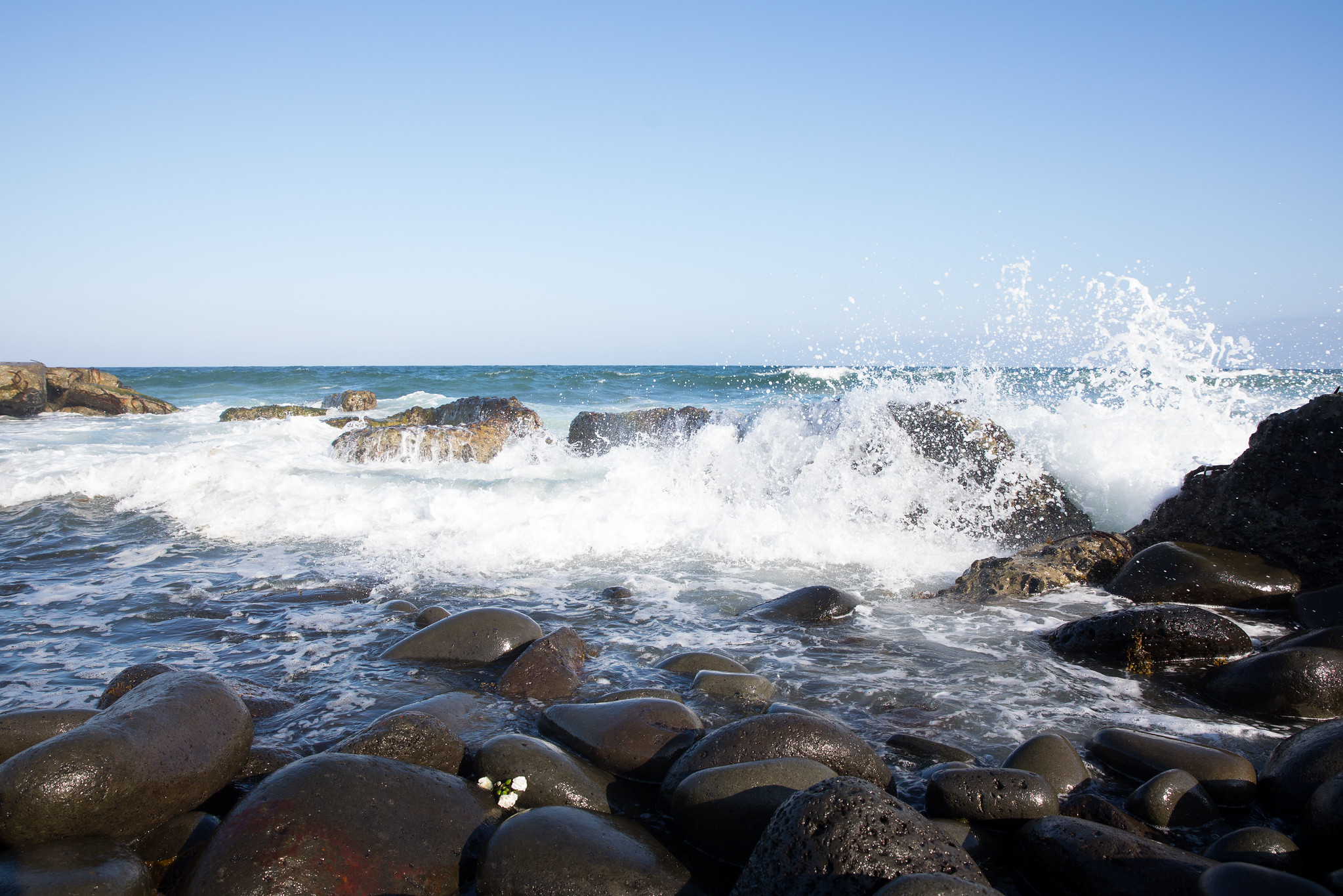 Biodiversity Monitoring Synthesis completed to support the Arctic Council